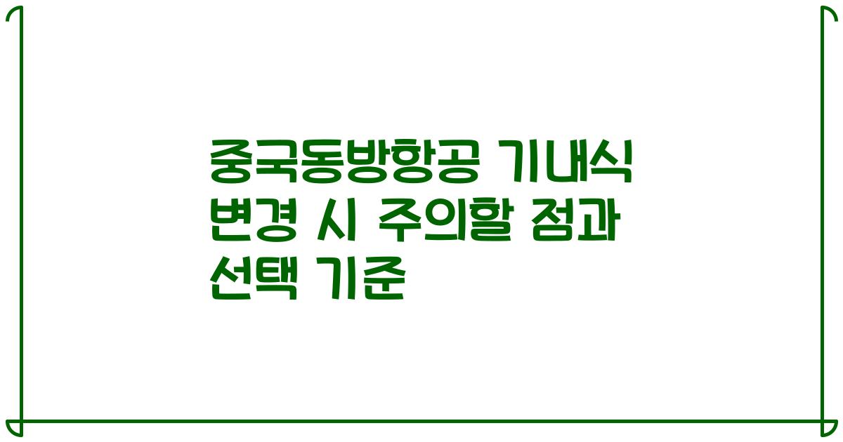 중국동방항공 기내식 변경 시 주의할 점과 선택 기준