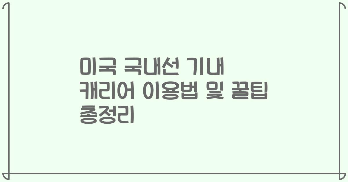 미국 국내선 기내 캐리어 이용법 및 꿀팁 총정리